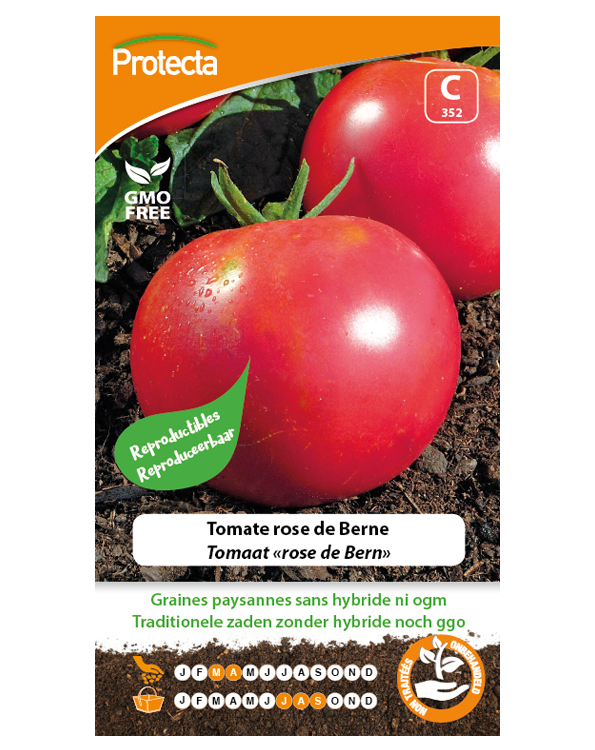 Zaadvaste Tomaat Zaden "Rose de Bern"