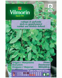 Vilmorin zaden Oregano