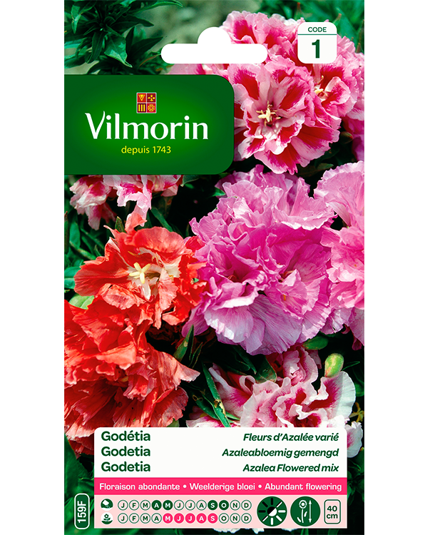 Vilmorin Zaden Godetia dubbelbloemig gemengd 1g