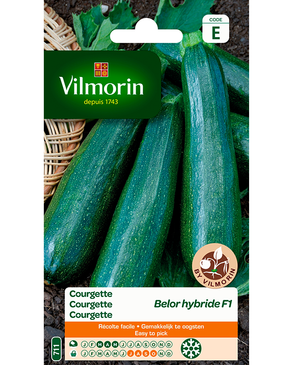 Vilmorin Zaden Courgette Bélor HF1 3g