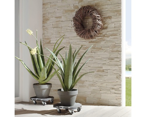 Plantentrolleys Creo Rond met rem Binnen en buiten 38cm