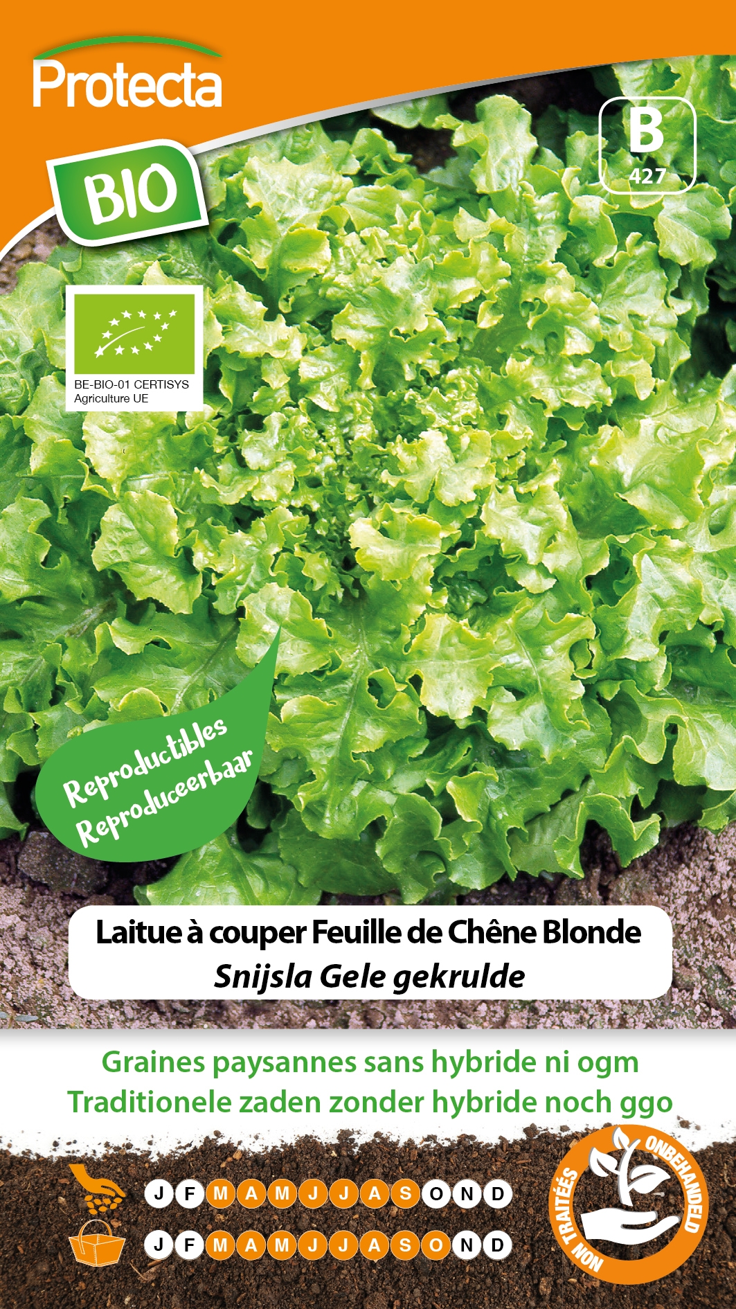 BIO groenten zaden Snijsla Gele gekrulde