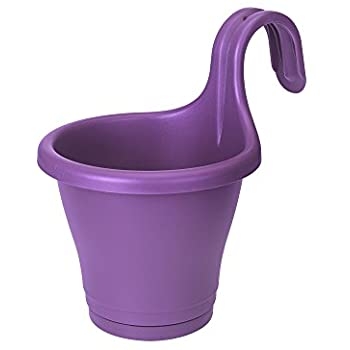 Corsica Easy Hanger Single Grape Purple
