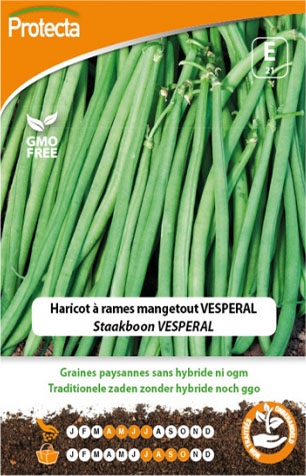 Zaadvast Staakboon Vesperal zaden