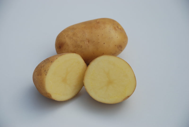 Pootaardappelen Eersteling 2,5 kg