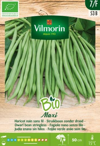 Vilmorin Zaden Struikboon zonder draad Maxi