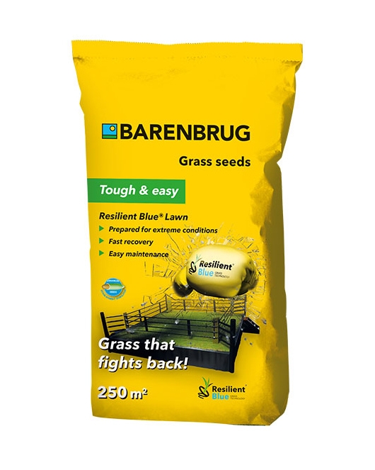 Graszaad Barenbrug Gazon Resilient Blue® 250 m²