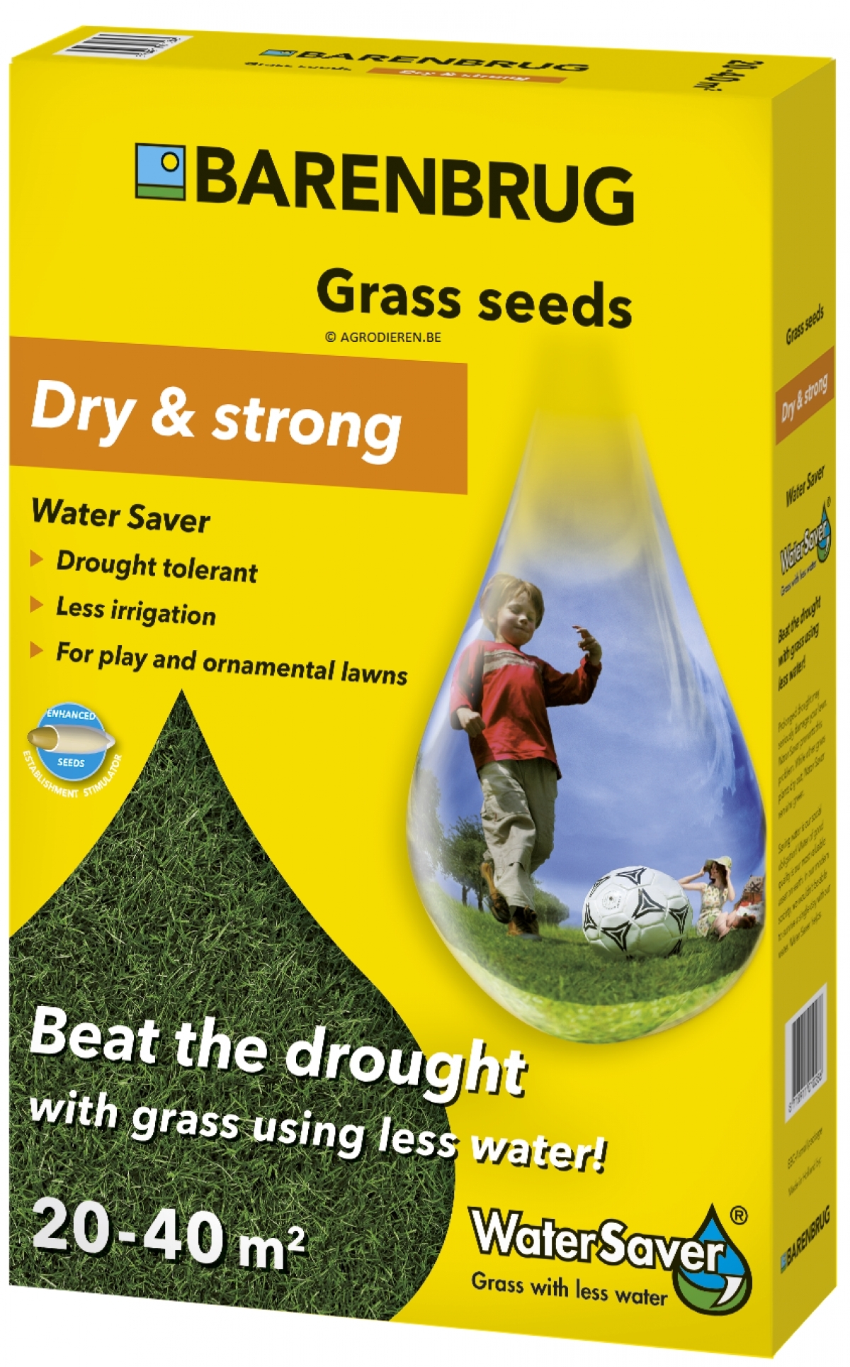 Barenbrug Dry & Strong graszaad voor zandgrond en droogte 1kg