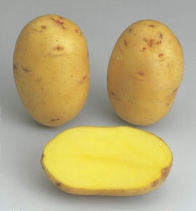 Pootaardappelen Victoria 3 kg Pootaardappelen Victoria 3 kg
