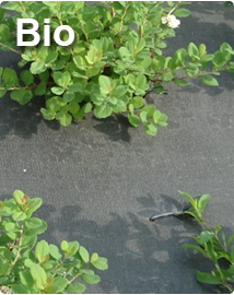 Bio gronddoek Ökolys - Composteerbaar 2.07 x 100m