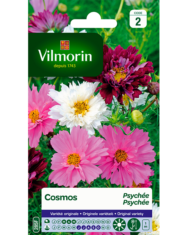 Bloemzaden Cosmos Psychée gemengd 1,5g