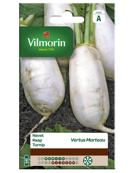 Vilmorin Zaden Raap Vertus Marteau 5g