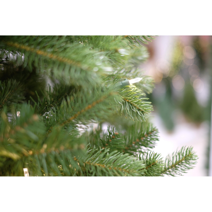 Stijlvolle Kunstkerstboom met 550 LED's - Poly Bayberry 213 cm