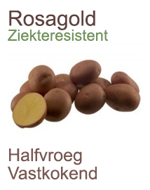 Pootaardappelen Rosagold 1kg Pootaardappelen Rosagold 1kg