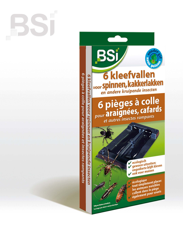 Kleefval voor spinnen en kruipende insecten 6 st.