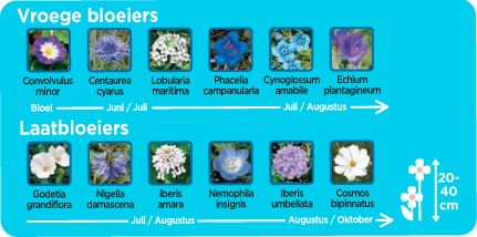 Substral Flower Magic Bleu Bloemenzaad 1kg 