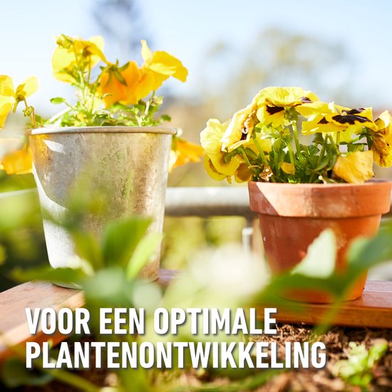 Compo BIO potgrond Beste van de Test