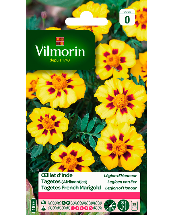 Bloemzaden Tagetes afrikaantjes Legioen van Eer