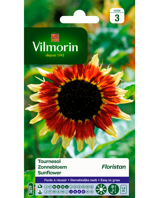 Bloemzaden Zonnenloem Floristan 1g