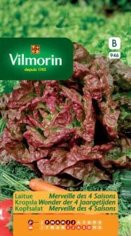 Vilmorin kropsla zaden Wonder der 4 jaargetijden