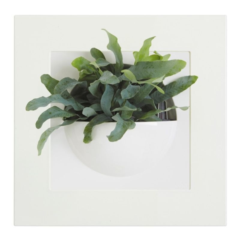 Witte wanddecoratie van Elho met een geïntegreerde bloempot voor kleine planten.