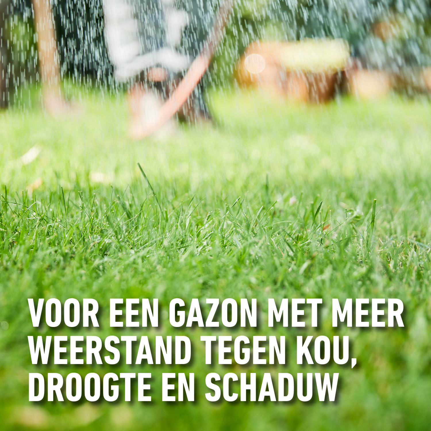 Herstellen van beschadigd gazon | Compo Complete mix 4 in 1 | 4kg