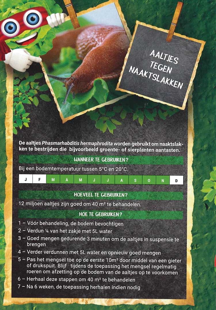 Aaltjes tegen slakken 40m²