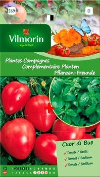 Vilmorin Zaden Tomaat coeur de boeuf + basilicum