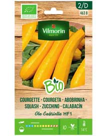 BIO groenten zaden Courgette Gold rush 2g