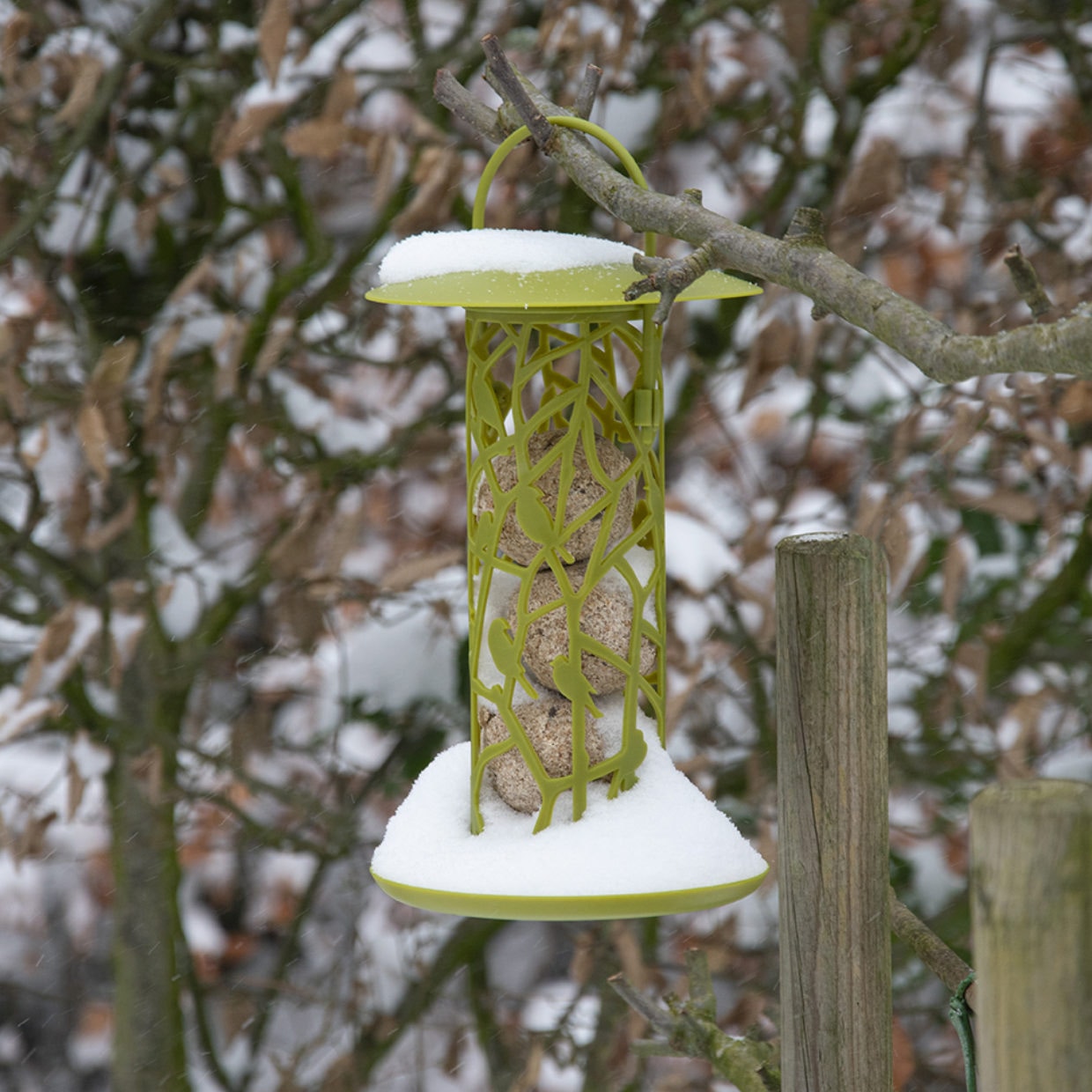 Vetbollen silo voor vogels