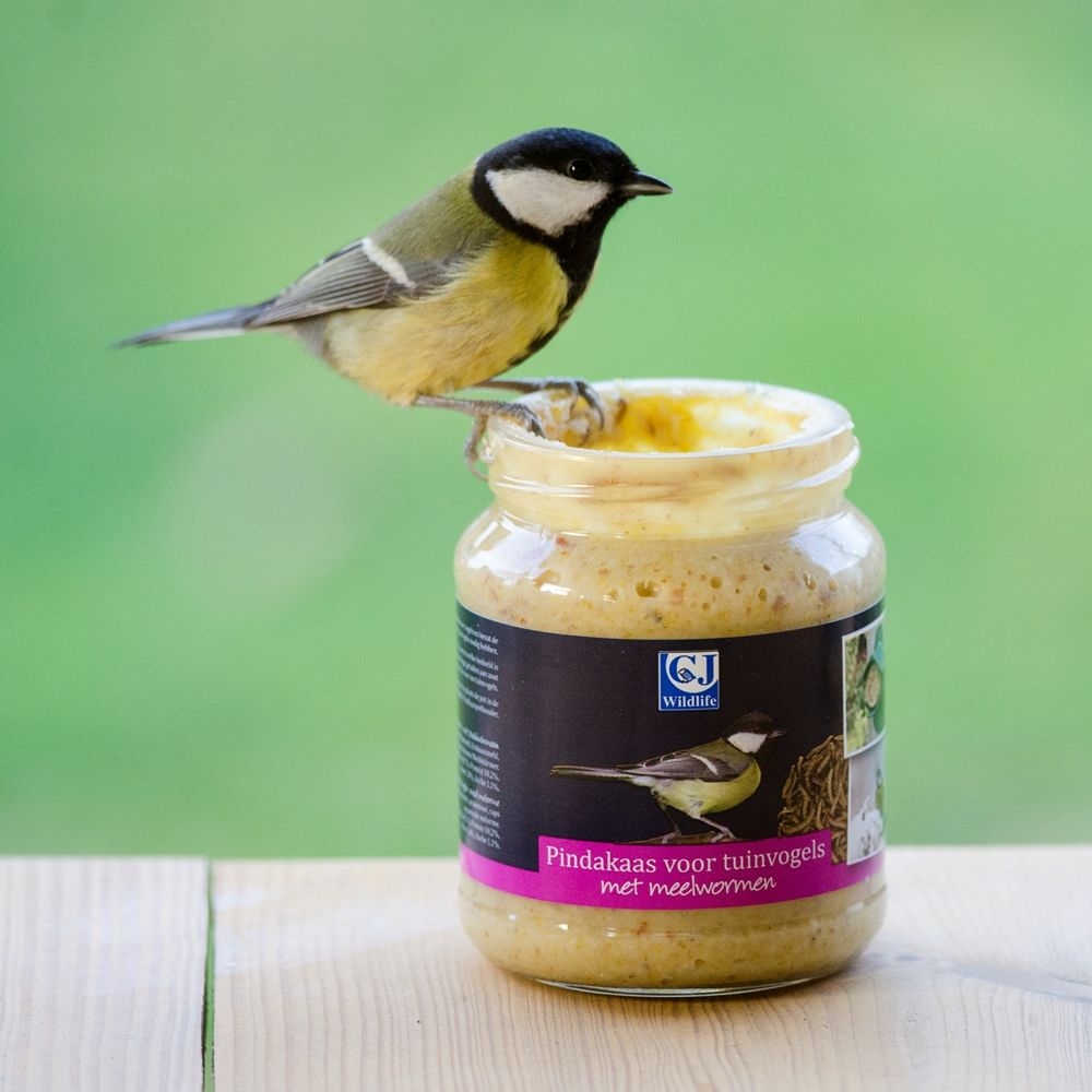 Vogelpindakaas met meelwormen