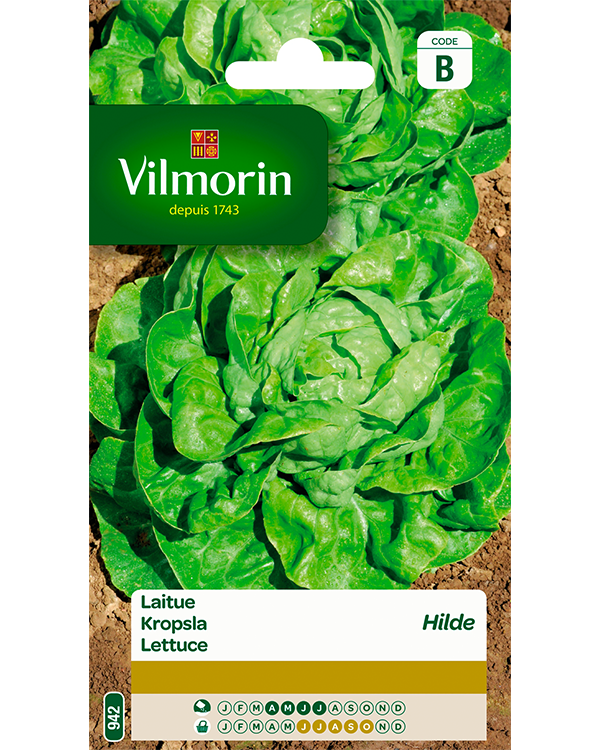 Vilmorin Kropsla zaden Hilde 4g