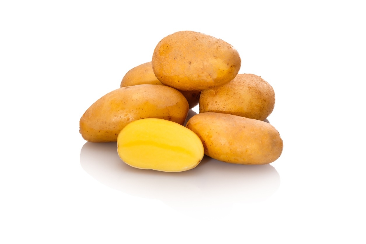 Een stapel Glorietta pootaardappelen met een halve aardappel die het goudgele vruchtvlees laat zien, klaar om te worden geplant voor een vroege biologische oogst.