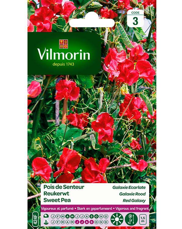 Bloemzaden Reukerwt Galaxie Rood 6g