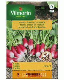 Vilmorin zaden Radijs Fluo hybride F1