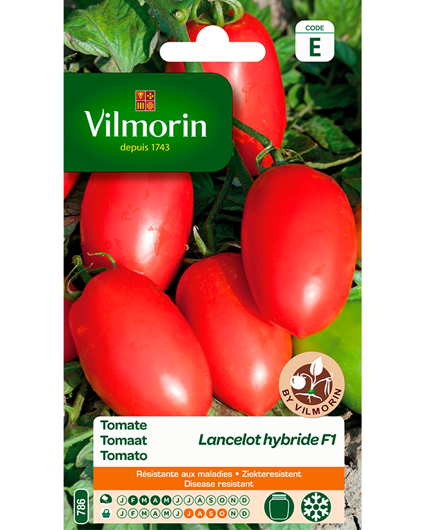 Vilmorin Zaden Tomaat Lancelot F1 0,1g