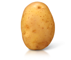 Pootaardappelen Artemis 1kg Pootaardappelen Artemis 1kg