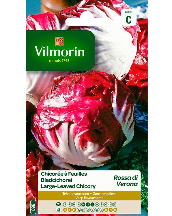 Vilmorin Zaden Wilde Cichorei Rode Verona 