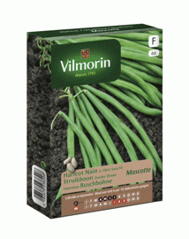 Vilmorin zaden Struikboon Mascotte 