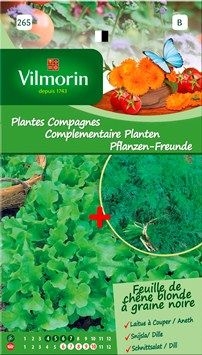 Vilmorin Zaden Complementaire planten snijsla gekruld + dille