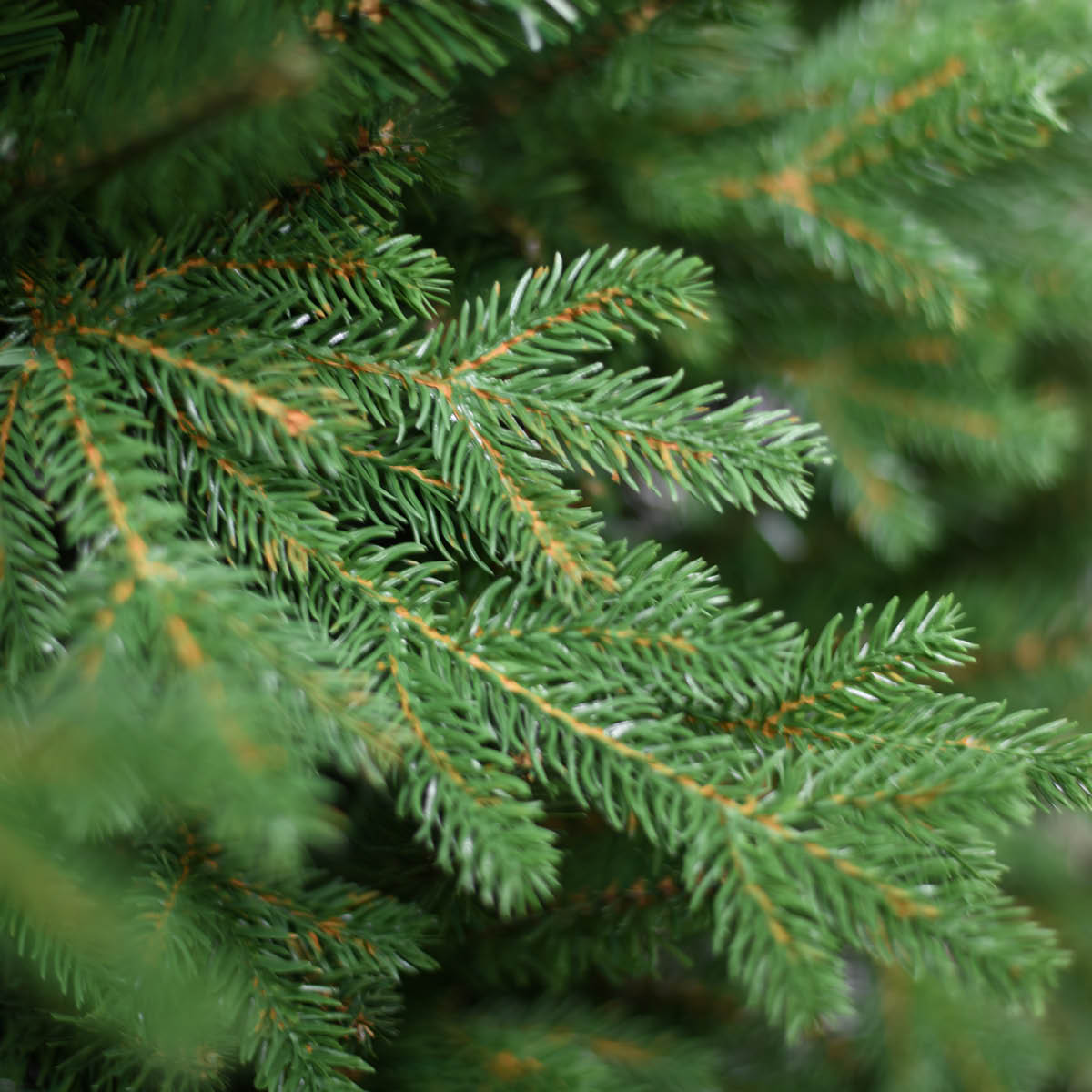 Groene kunstkerstboom Christmas Green 213cm