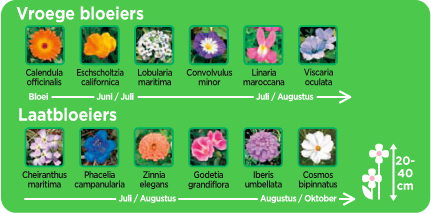 Substral Flower Magic Multicolour Bloemenzaad 1kg