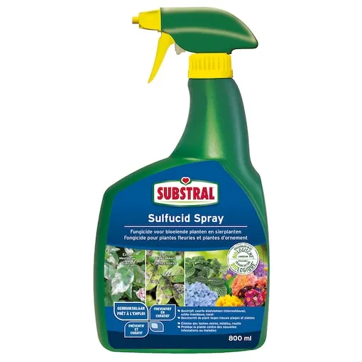 Meeldauw en zwarte bladvlekken bestrijden met fungicide | Substral Sulfucid Spray 800ml