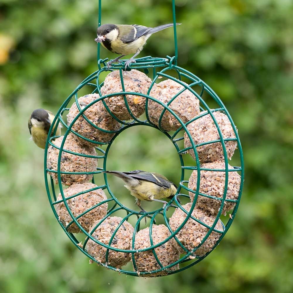Vetbollen met insecten Vogelbescherming 6 st.