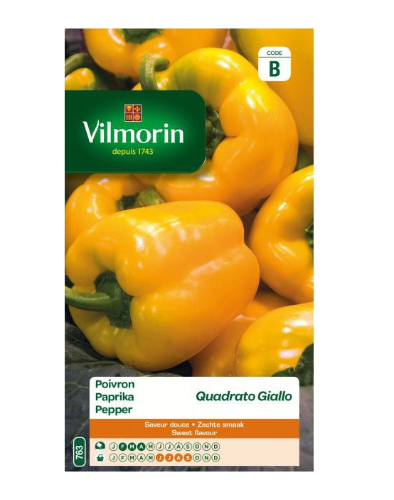 Vilmorin paprika zaden Quadrato Giallo