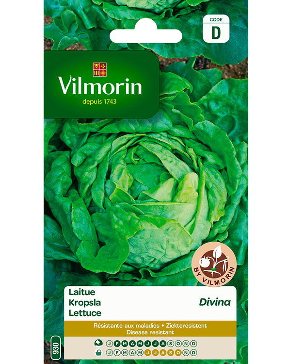 Vilmorin Zaden Kropsla Divina ziekteresisitent 3g