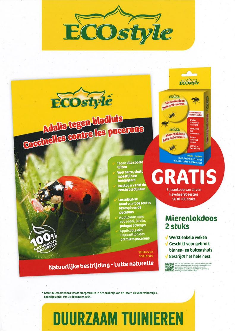 ECOstyle Adalia lieveheersbeestjes: Natuurlijke bestrijding van bladluizen met gratis mierenlokdoos (2 stuks)