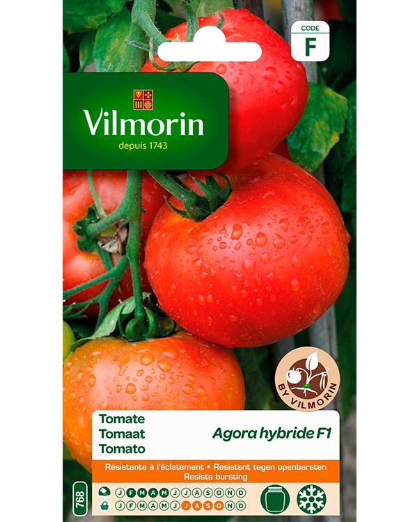 Vilmorin Zaden Tomaat Agora F1 0,3g