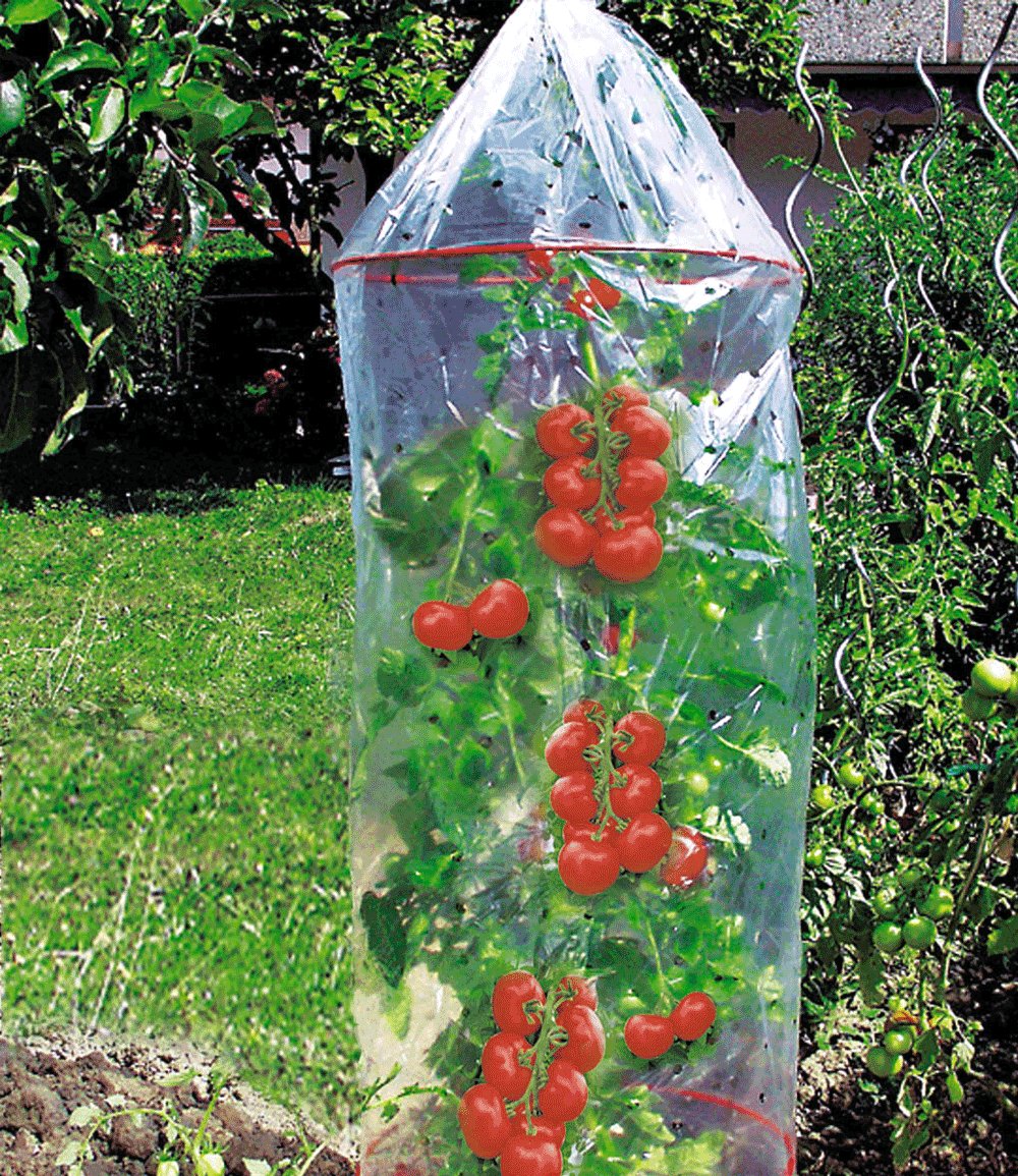 Tomatenhoes voor betere groei