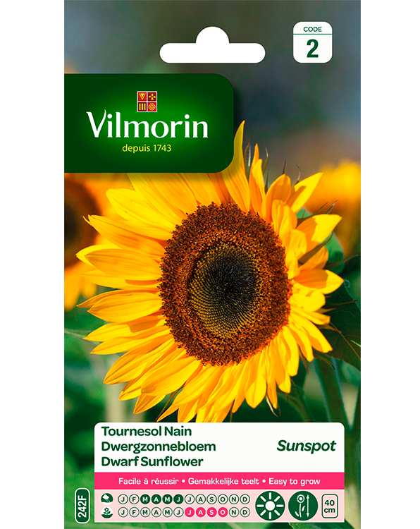 Bloemzaden Zonnebloem Sunspot 3g
